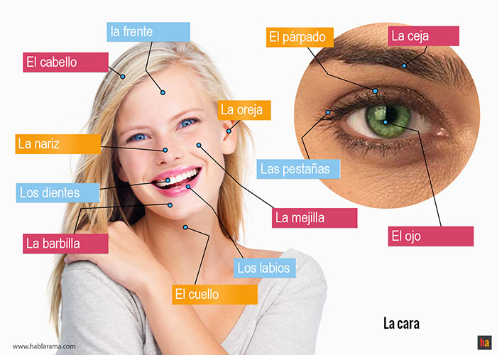 How To Say Face To Face In Spanish