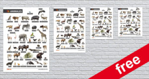 Animal names in Spanish: Free posters