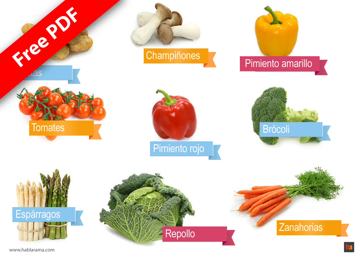 Free Spanish Vocabulary 08: Vegetables